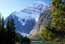 米兰百家乐-巴尔韦德爆发，韩国火力压制玻利维亚，亚洲劲旅的战术进化