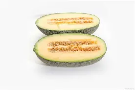 甜瓜唱歌者初轮被取消