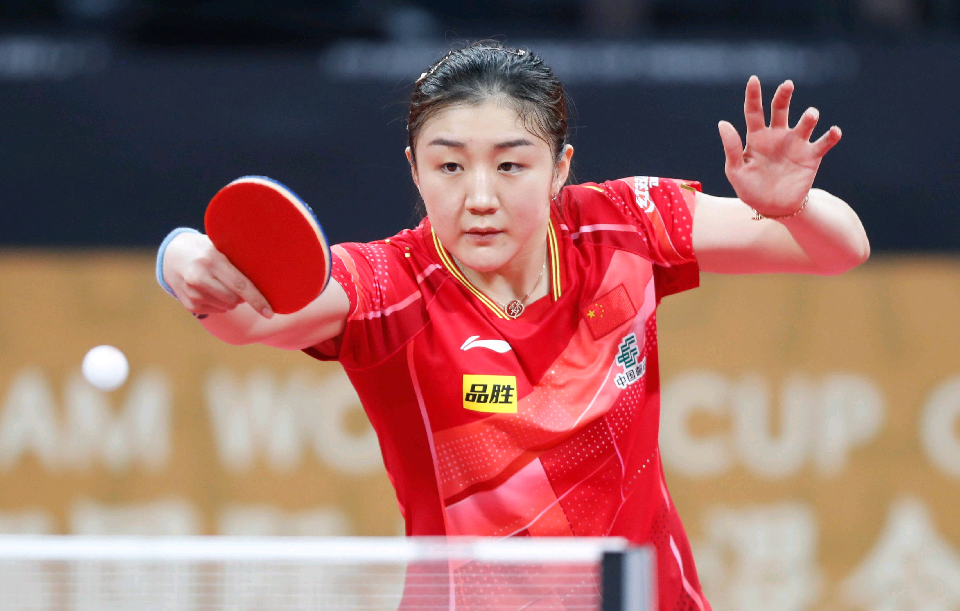 法国队绝杀中国队，马琳惊艳四座的简单介绍